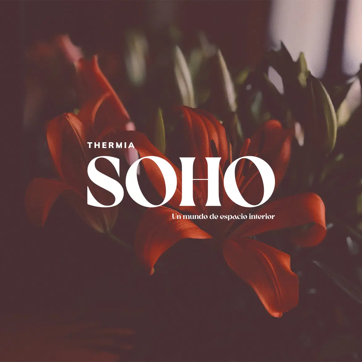 Características SOHO