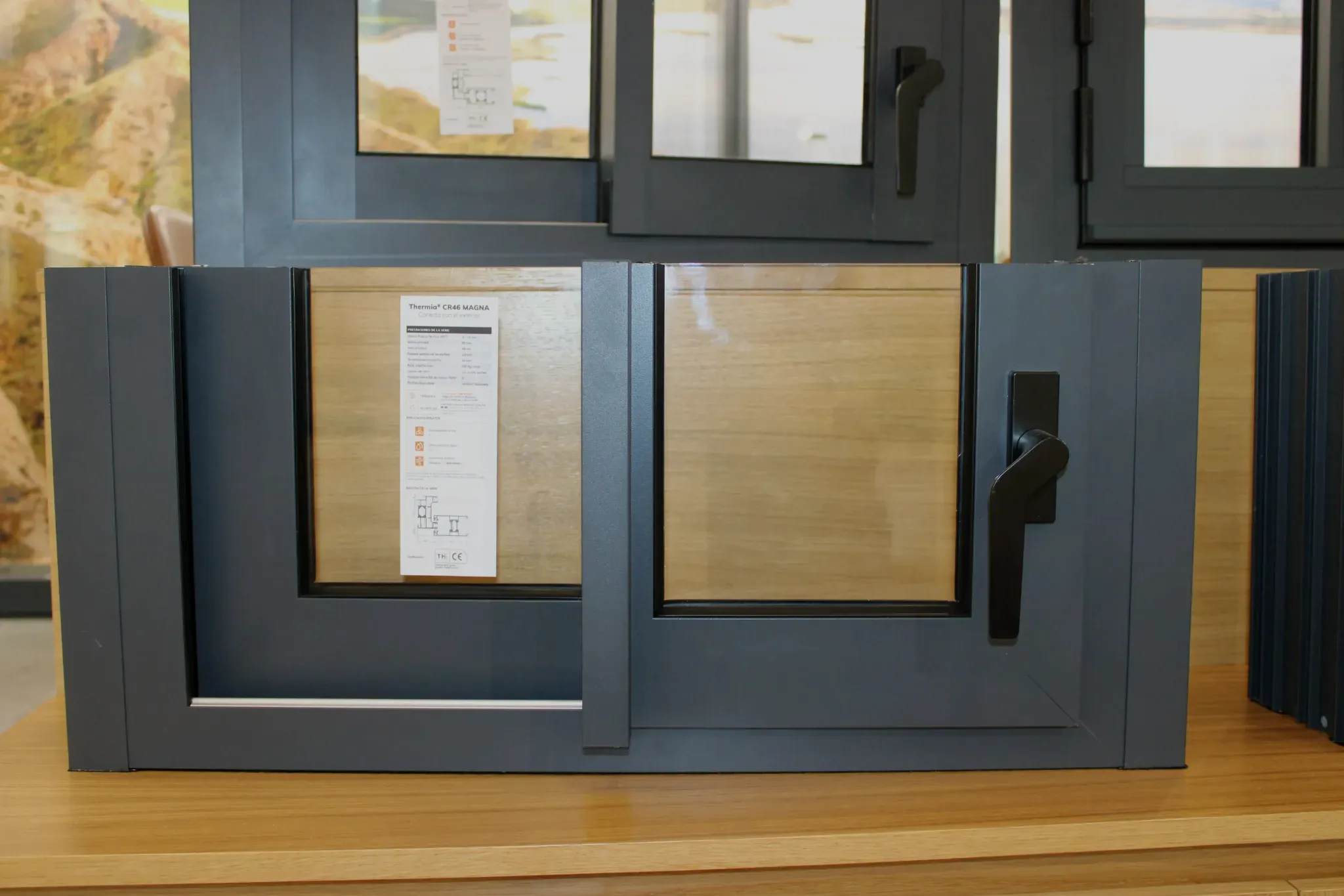Ventanas galería 10